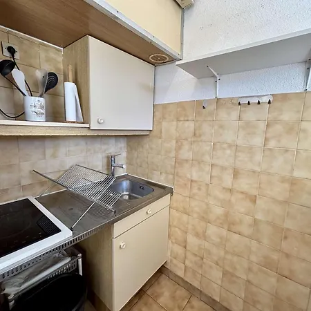 Avec Clim Et Piscine - 3 Pers. - Fr-1-252-203 *